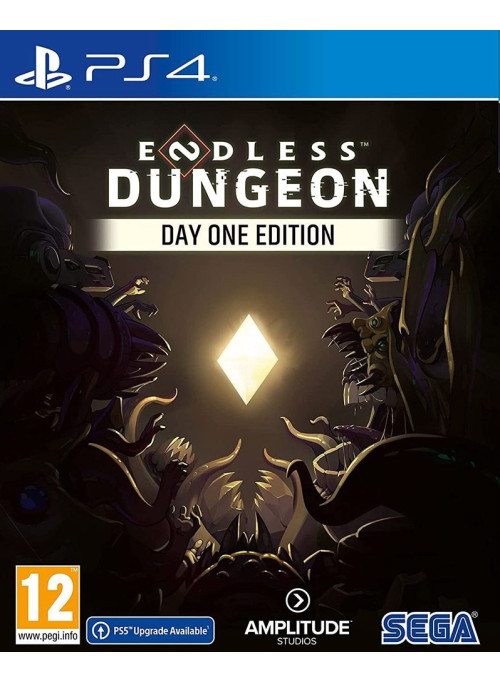 Endless Dungeon Day One Edition (PS4)